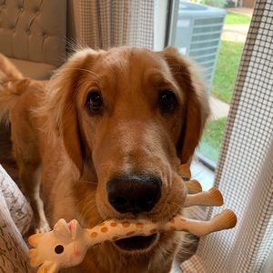 Meet your Posher, Marisol